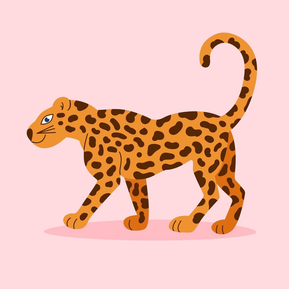 Leopard illustration on pink background. Exotic jungle animal vector