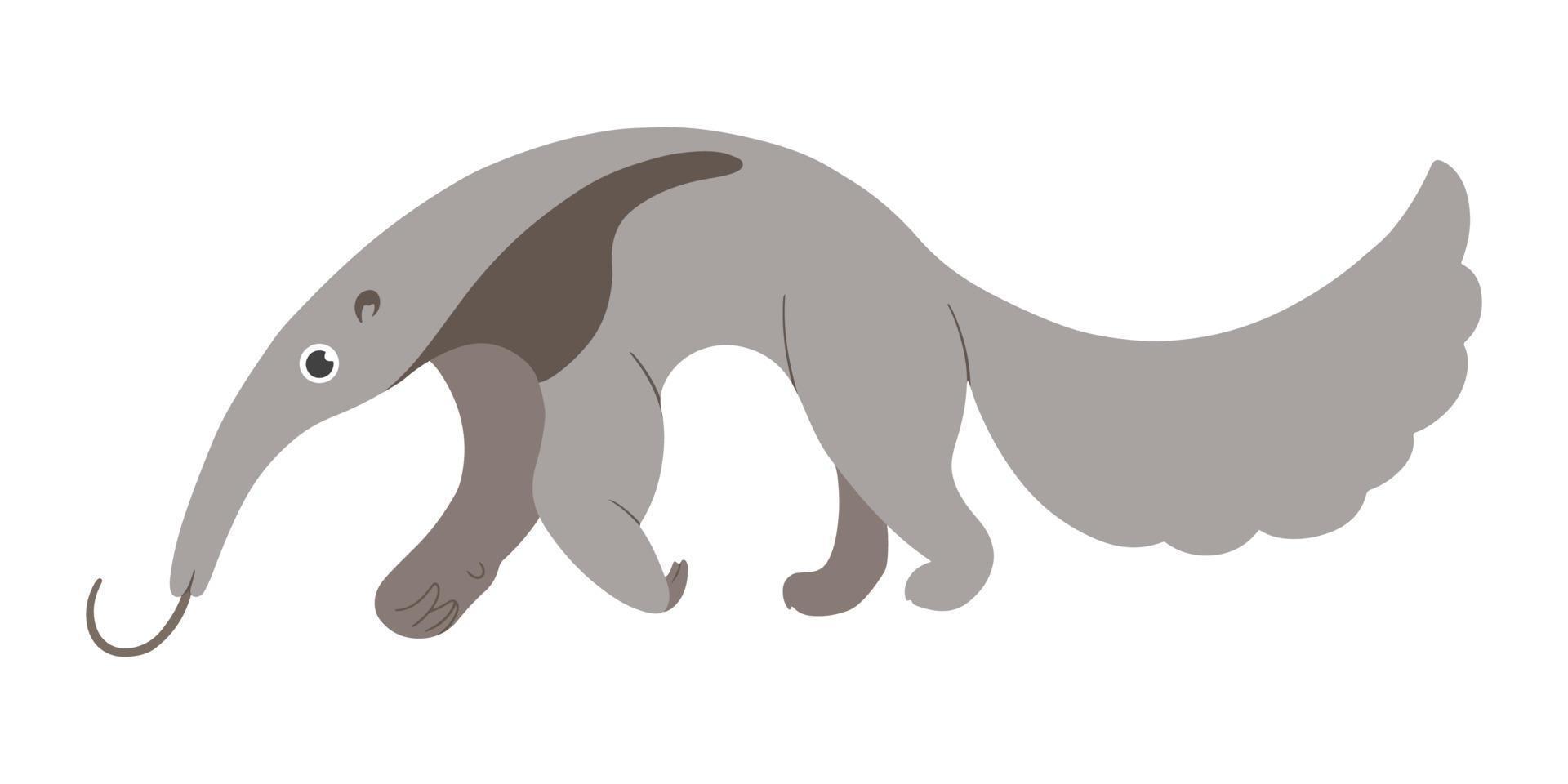 Vector cute anteater. Stock illustration of anteater in cartoon style on white