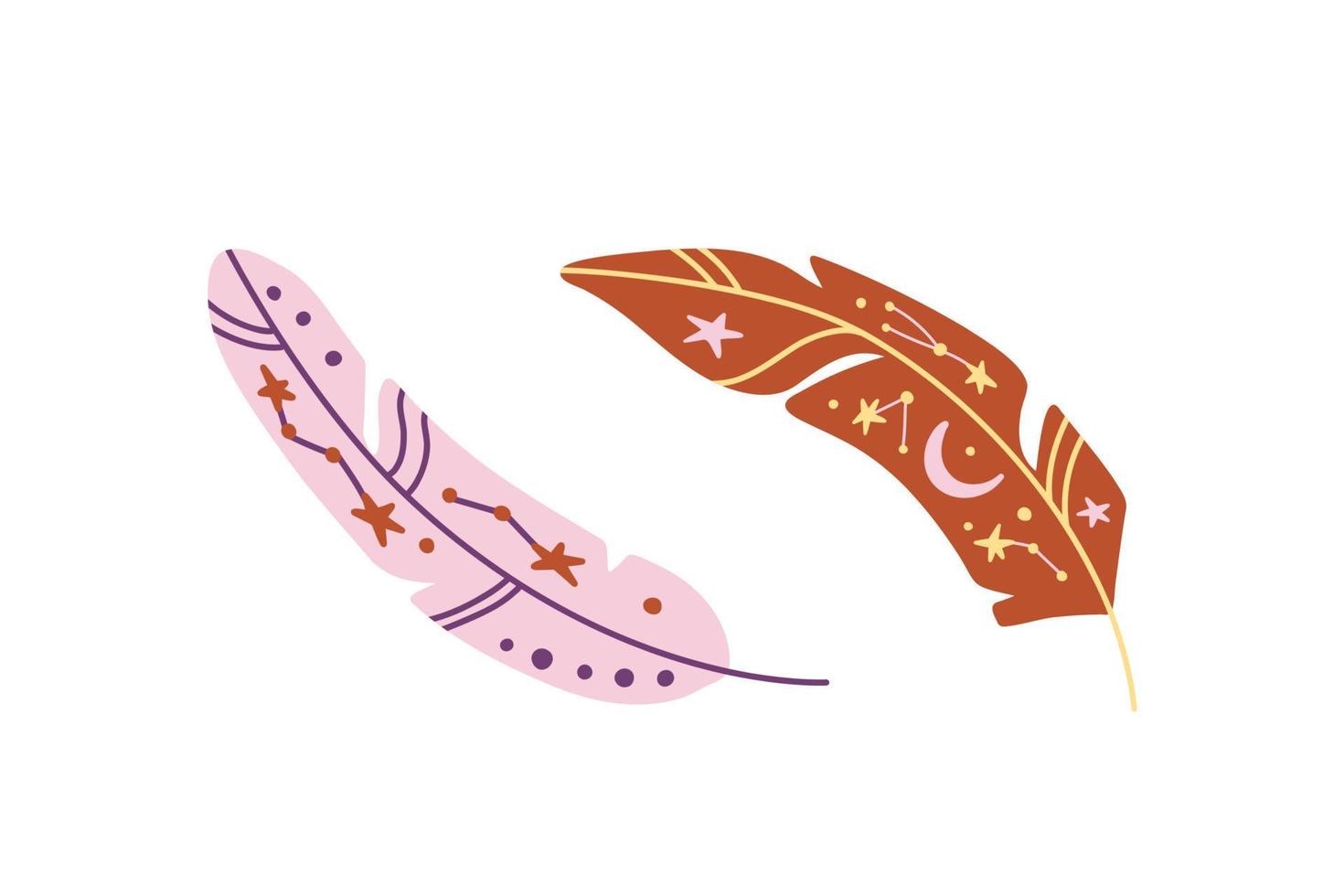 Feathers hand drawn set illustration. Moon and stars on feathers vector