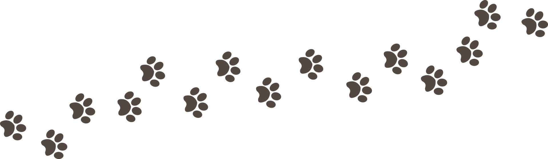 Paw print foot trail. Dog, cat paw print. Vector 5449925 Vector Art at  Vecteezy