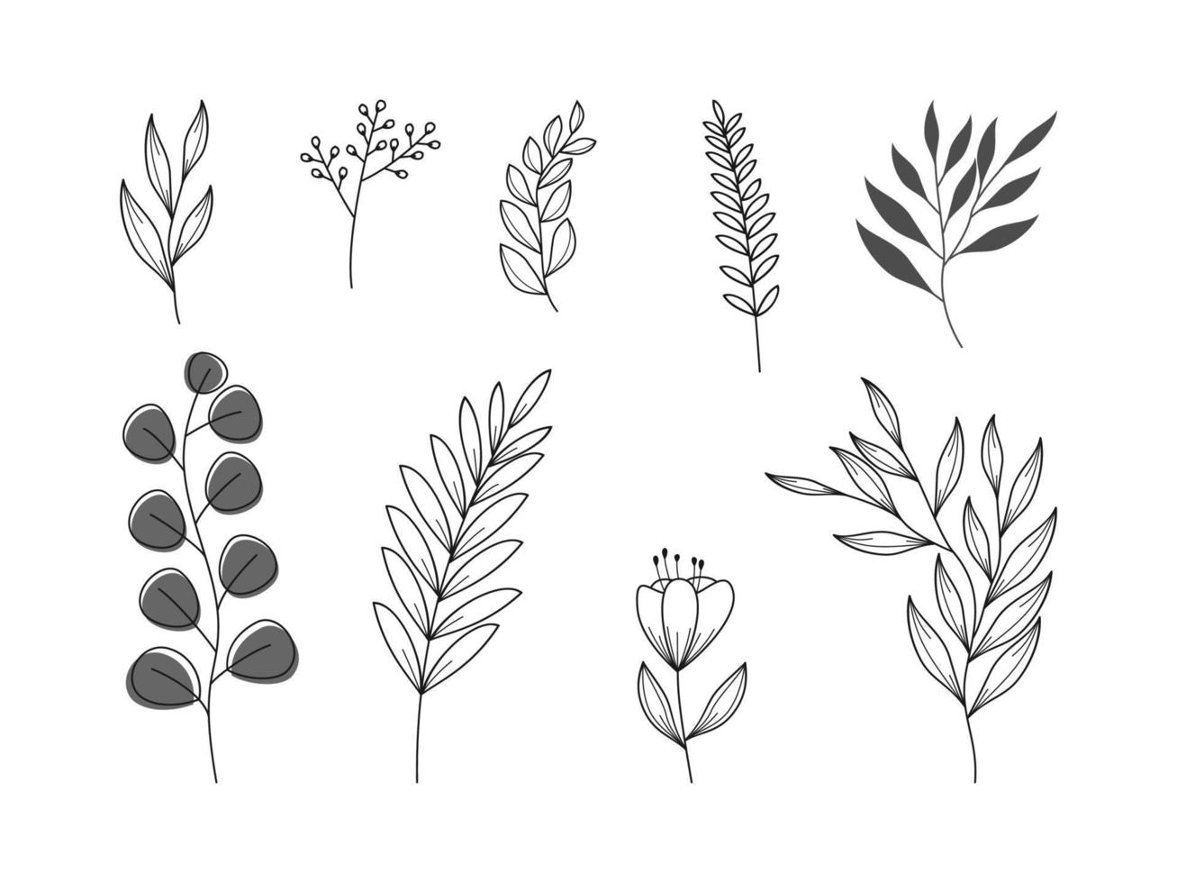 Hand Drawn doodle leaf ornament collection vector