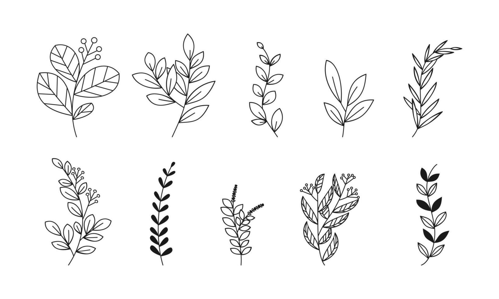 Hand Drawn doodle leaf ornament collection vector