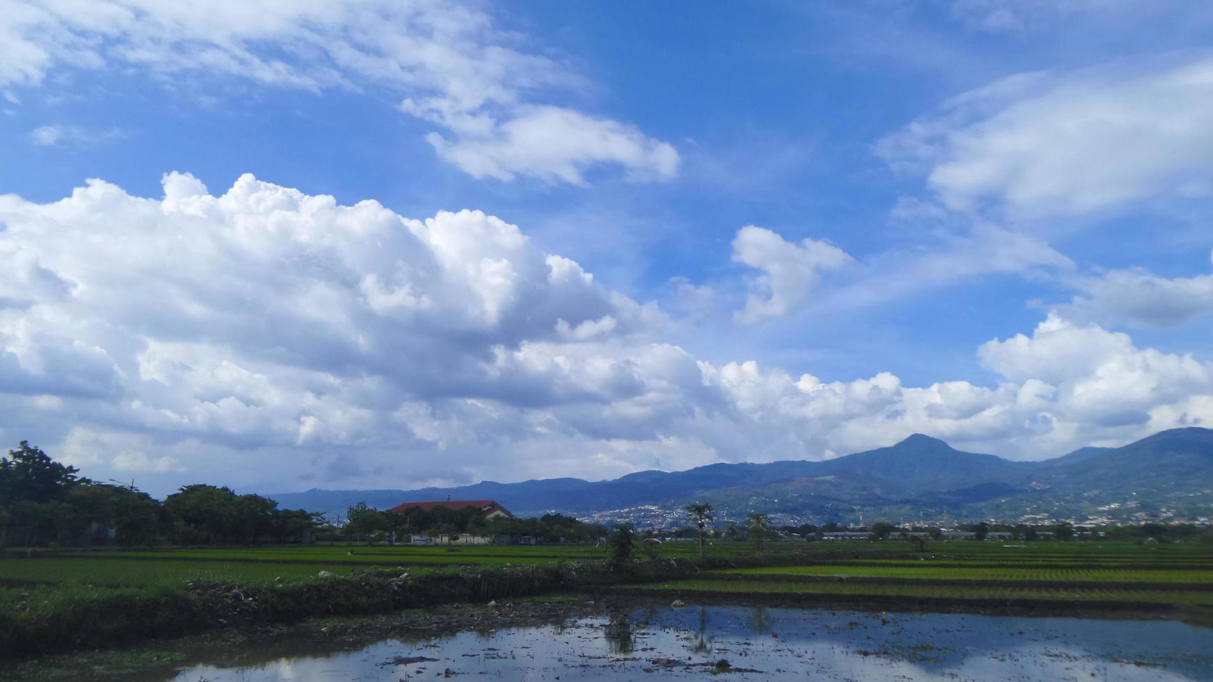 Landscape view of rice fields and mountains in the city of Bandung photo