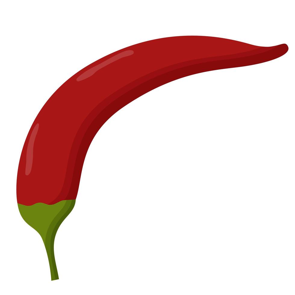 Red hot chili pepper isolated on white background. Mexican cuisine vector