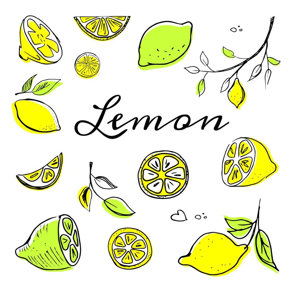 Hand drawn Lemon set1 vector