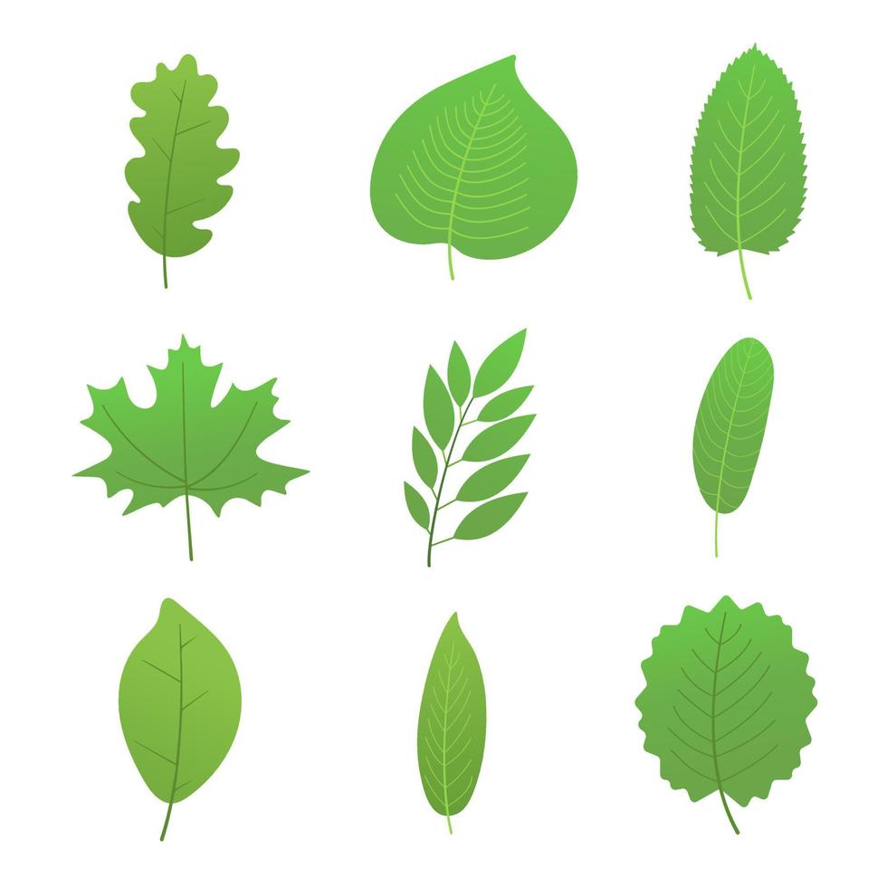 9 Set of green spring or summer leaves collection flat style design gradient version vector illustration isolated on white background.