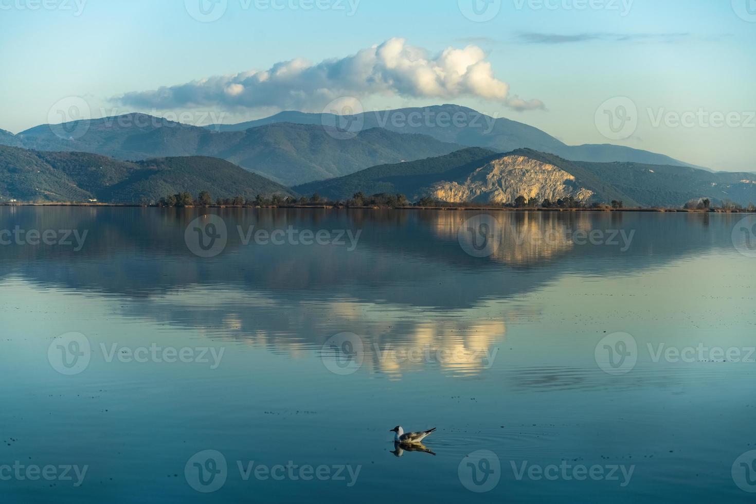 Mountains reflecting in the water of a blue lake and a swimming mallard photo