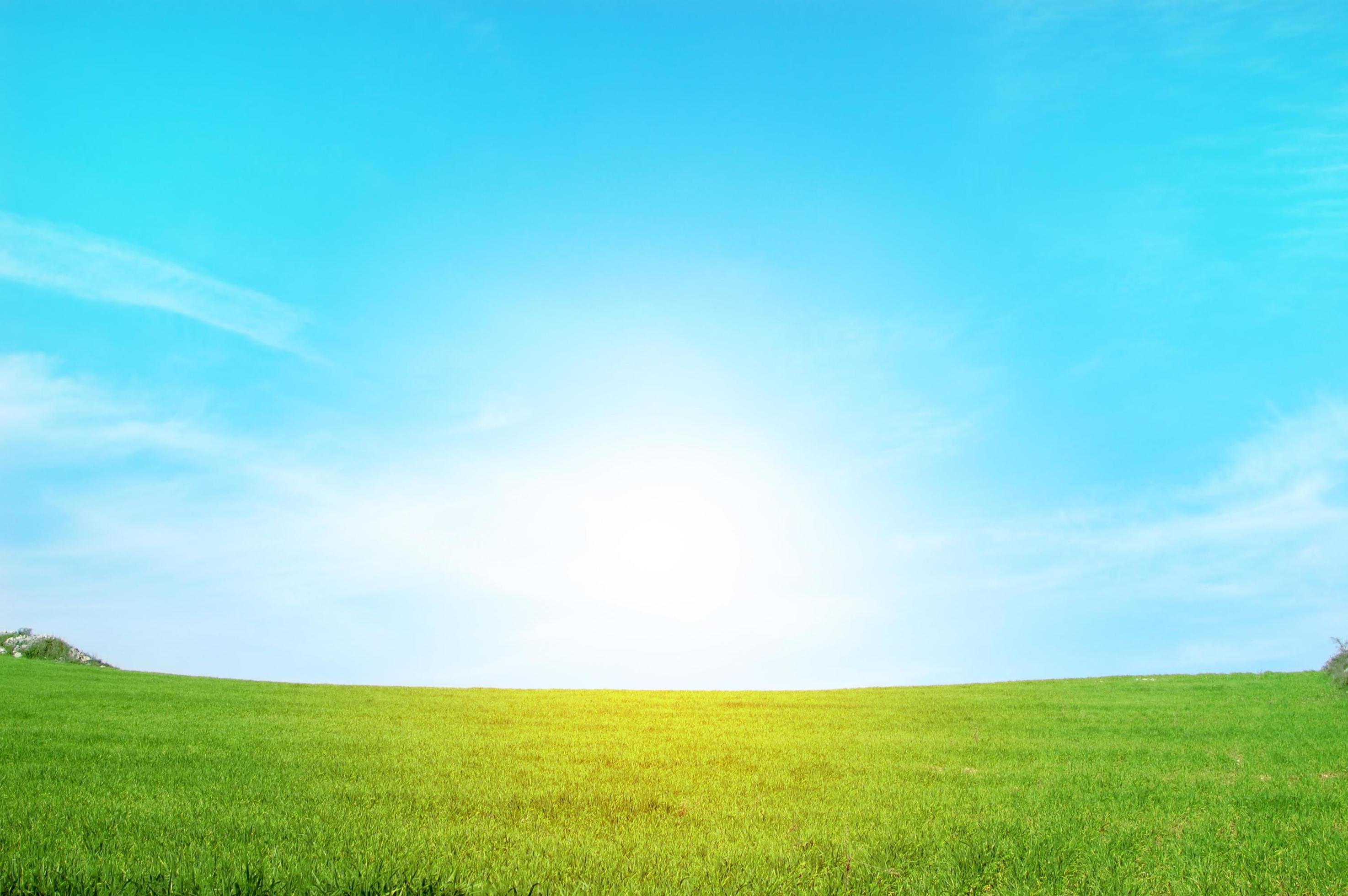 Blue sky and grass sunburst background Royalty Free Vector