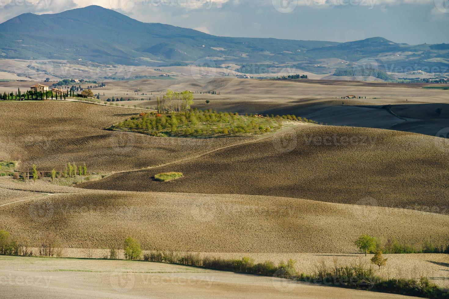 otoño en italia. colinas aradas amarillas de toscana con sombras y líneas interesantes foto