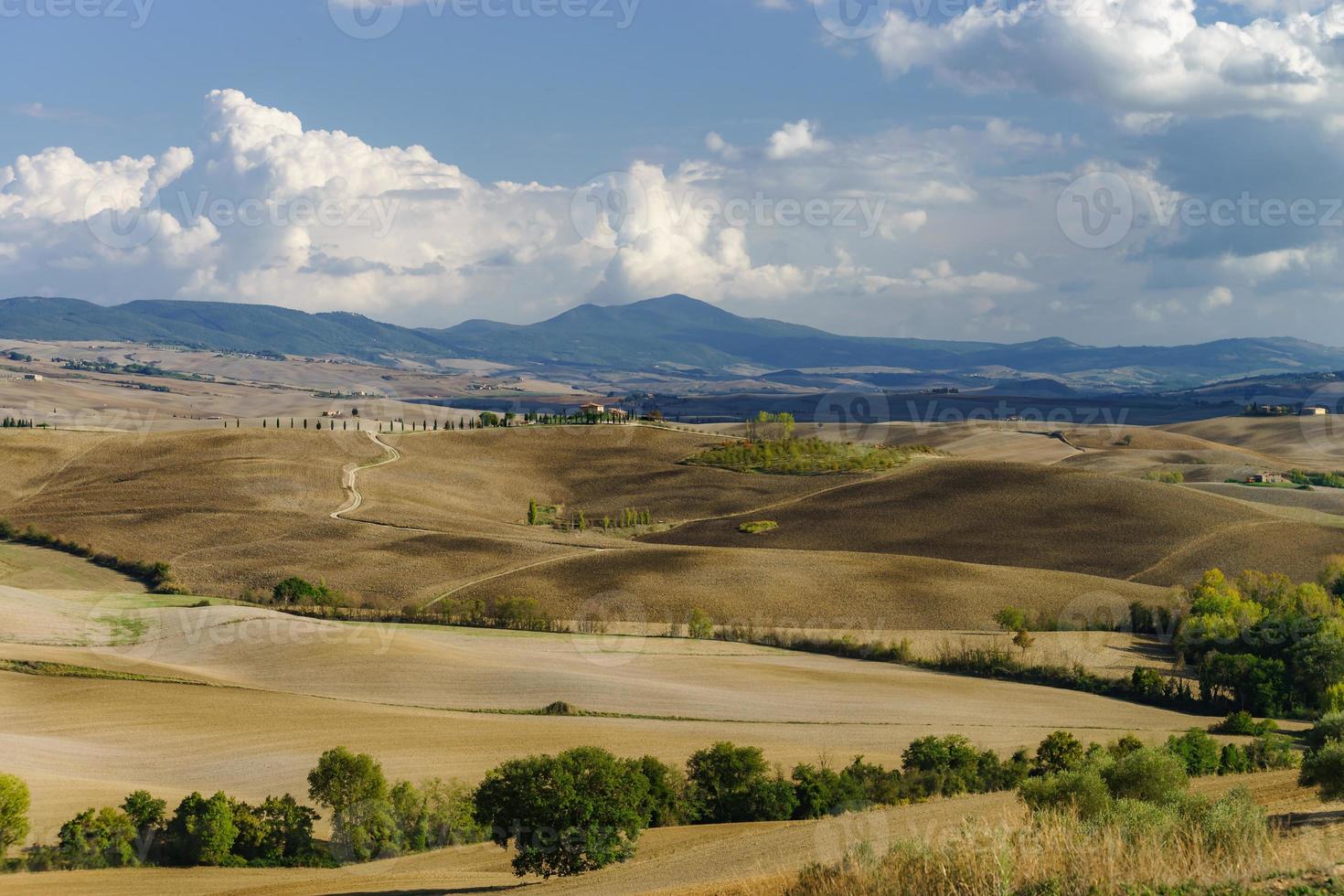 otoño en italia. colinas aradas amarillas de toscana con sombras y líneas interesantes foto