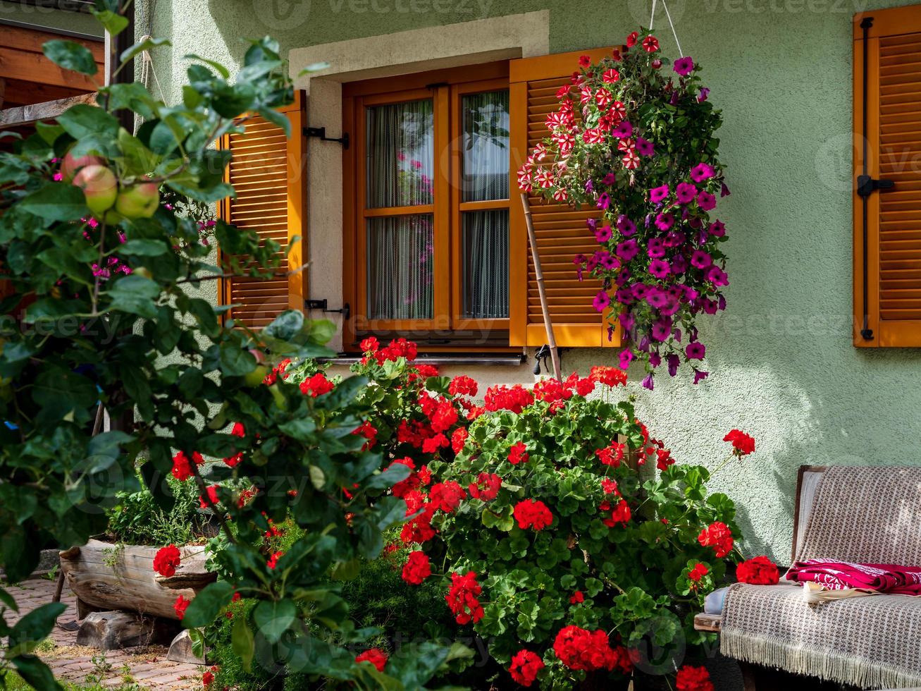 Flowering village in Alsace. Sunlit streets full of flowers. photo