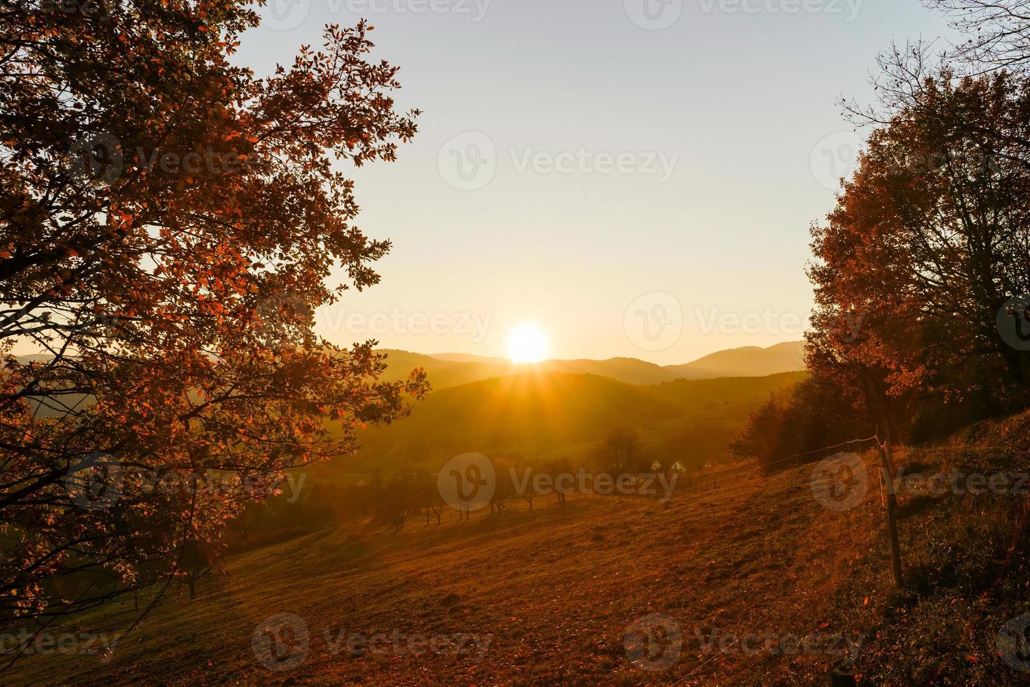 Autumn colors of nature in Alsace, colorful leaves and fgorests photo