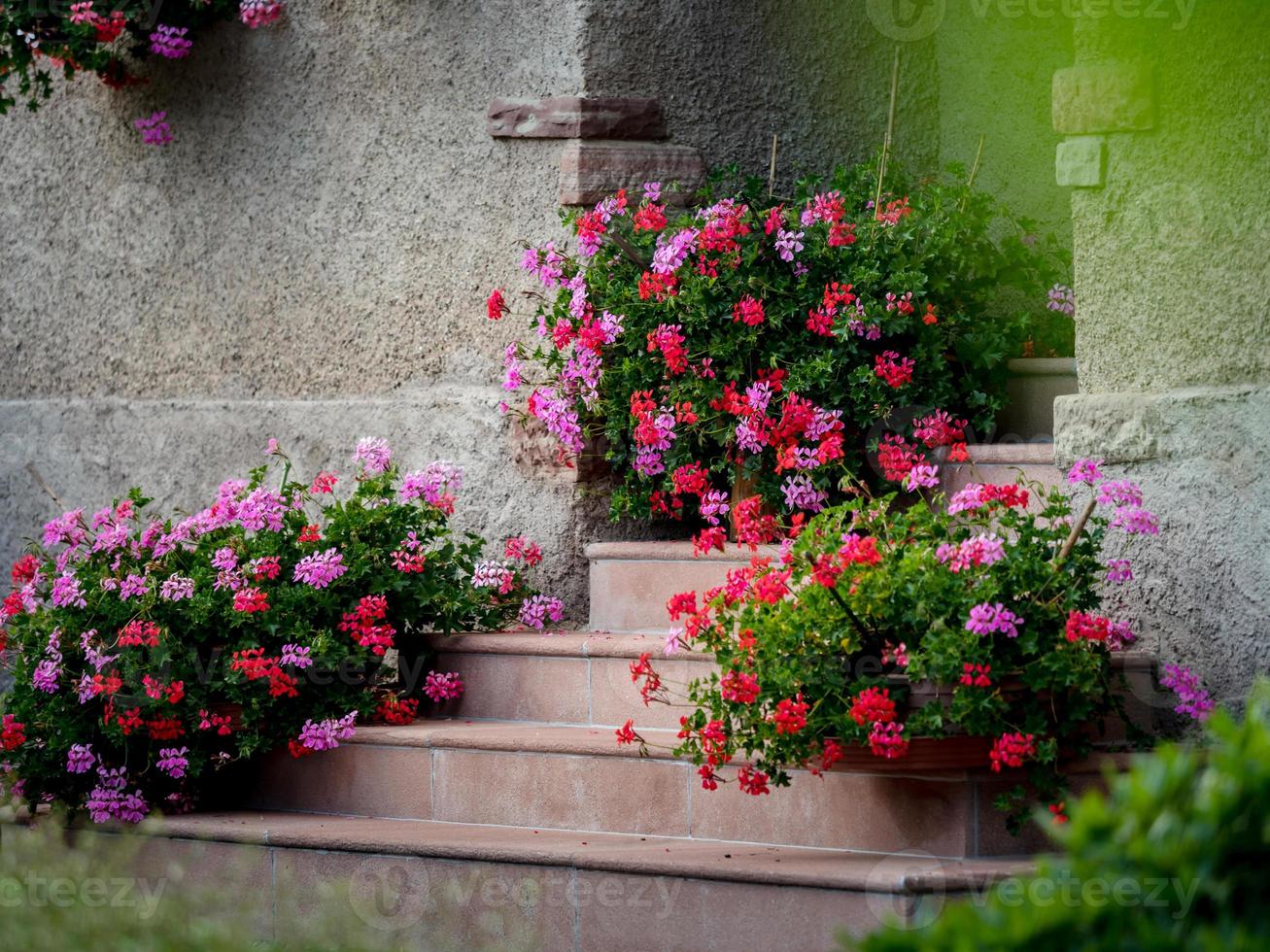 pueblo floreciente en alsacia. calles iluminadas por el sol llenas de flores. foto