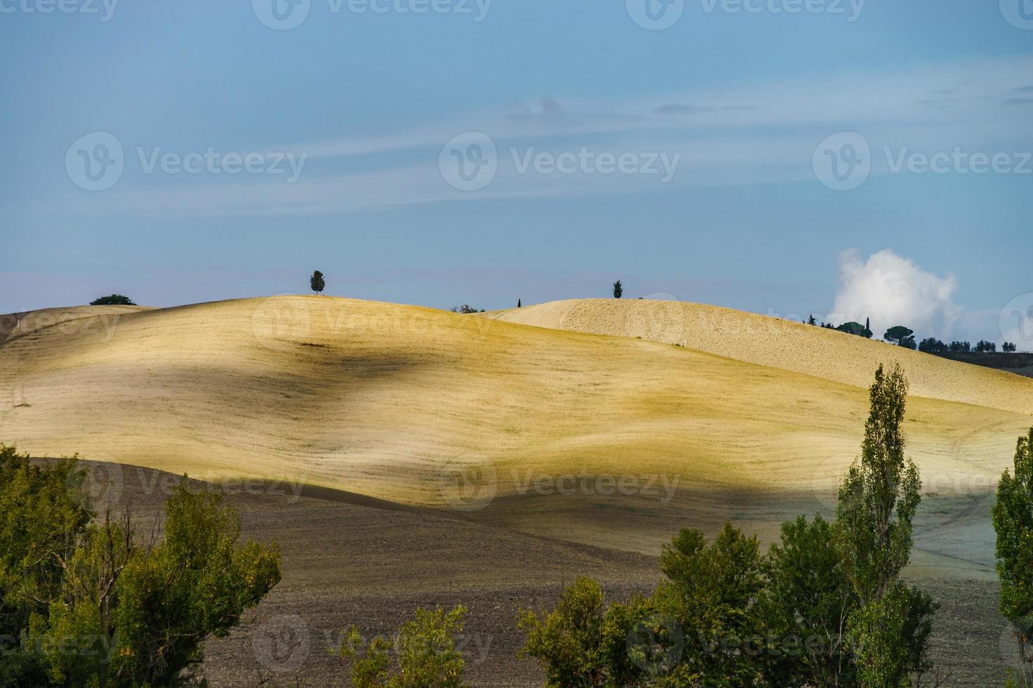 otoño en italia. colinas aradas amarillas de toscana con sombras y líneas interesantes foto