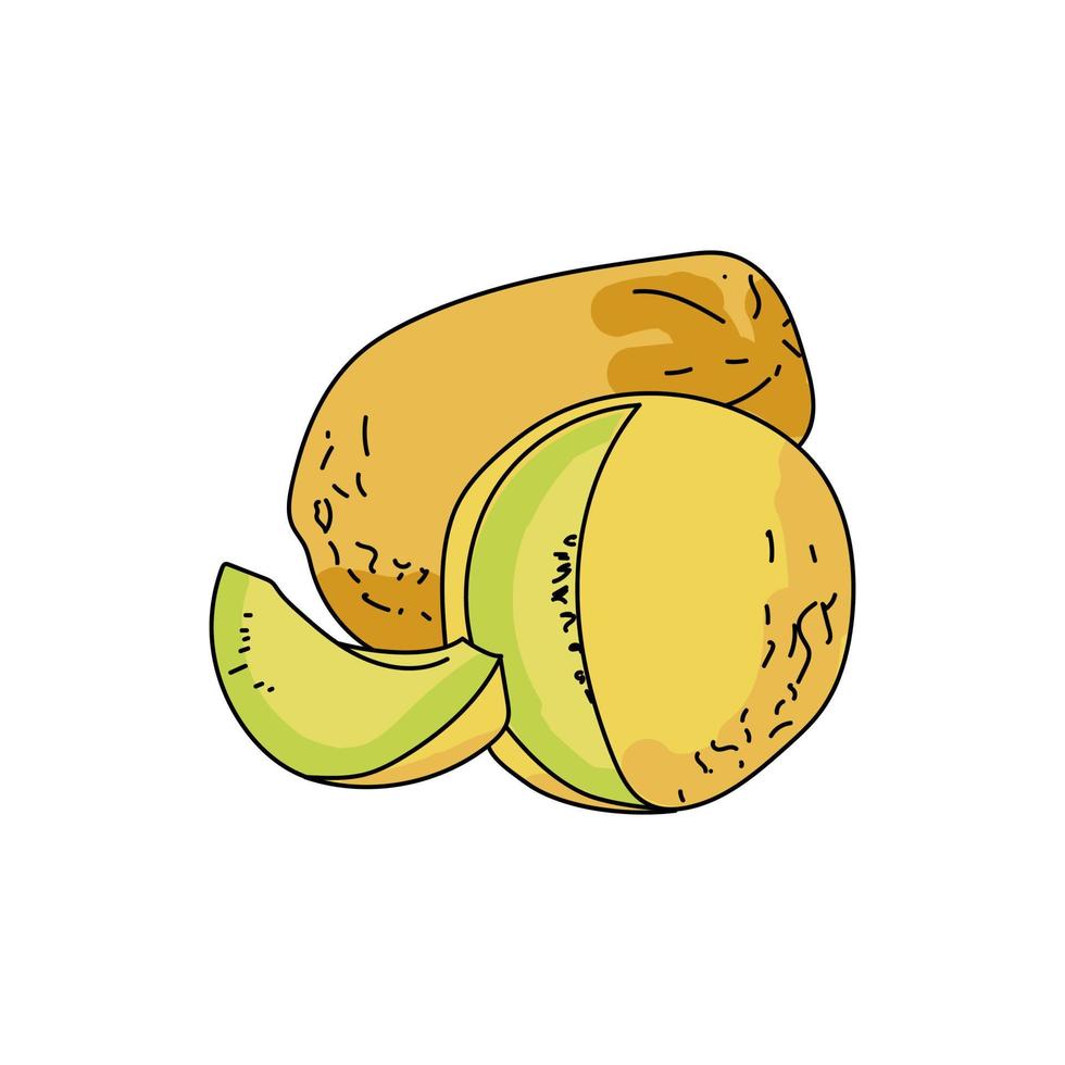 set of two yellow round and oval melons, whole and cut fruit with slice, hand draw vector illustration