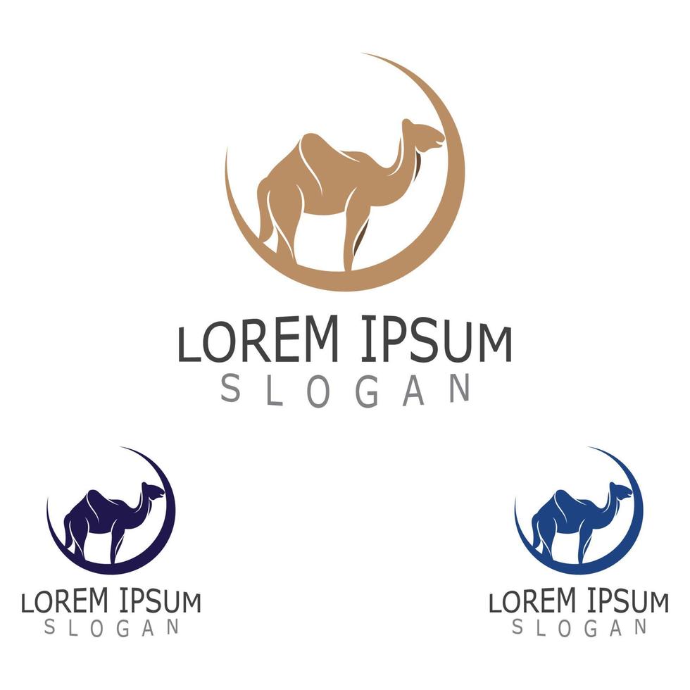 Vector Camel icon and logo design elements labels template vintage