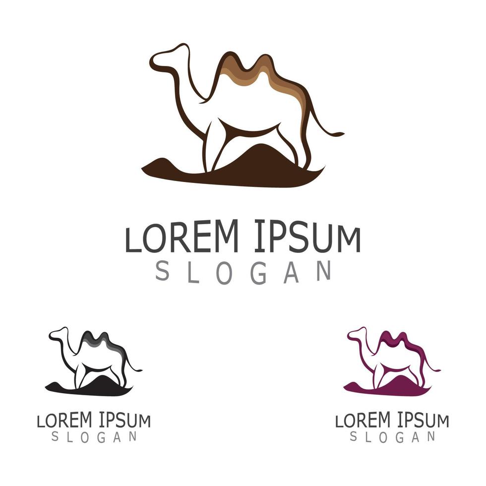 Vector Camel icon and logo design elements labels template vintage