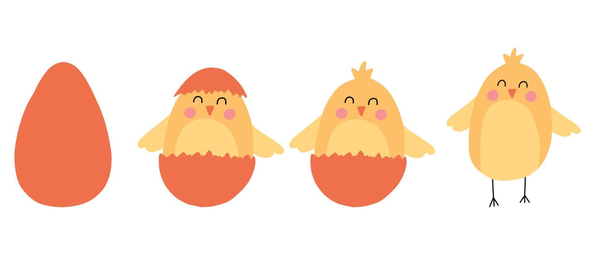 Vector set of cute chickens. Chick hatched from an egg. Cute Easter chicks.