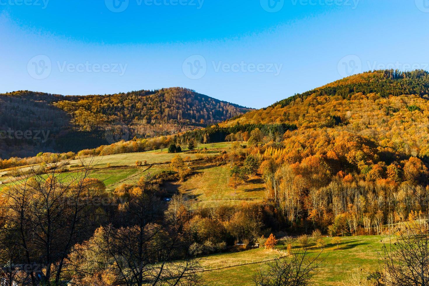 Autumn colors of nature in Alsace, colorful leaves and fgorests photo