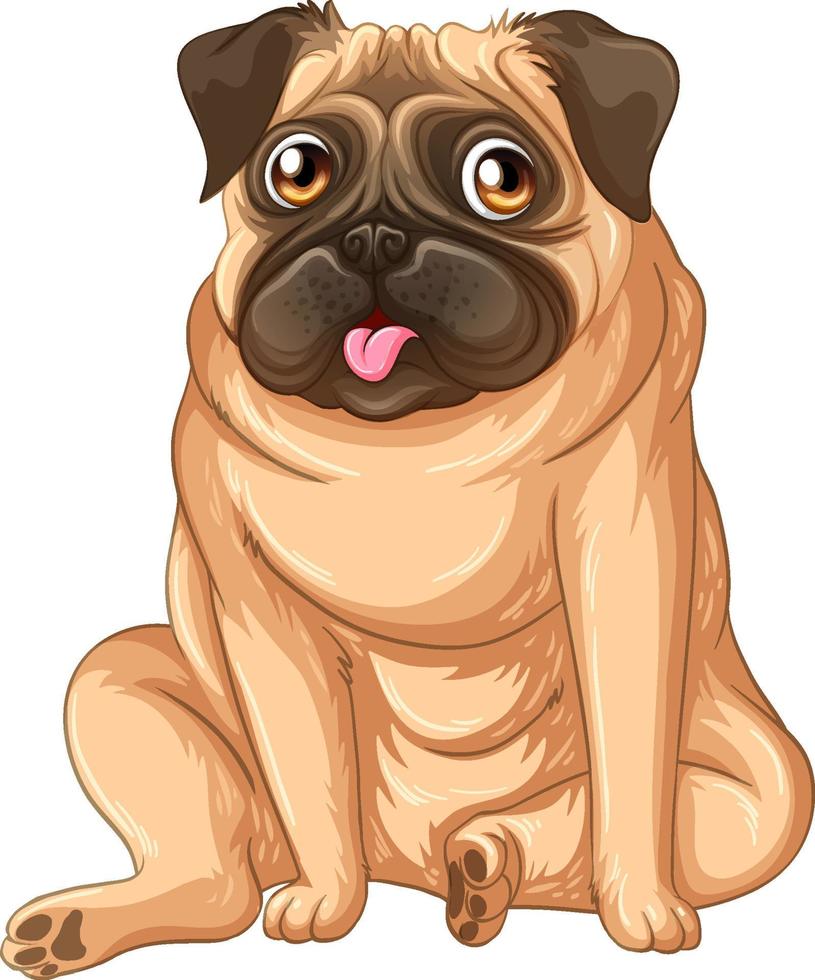 caricatura, cachorro, pug, blanco, plano de fondo vector