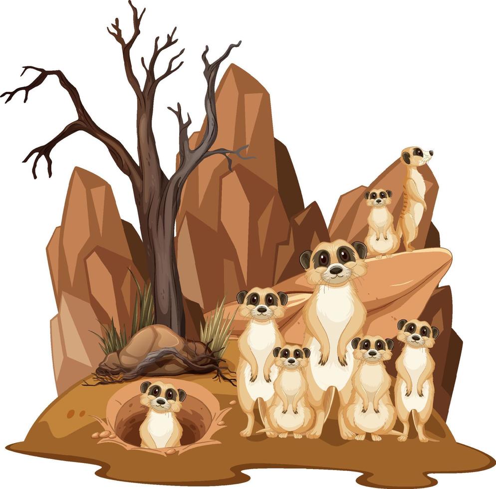 Escena de la naturaleza aislada con la familia suricata vector