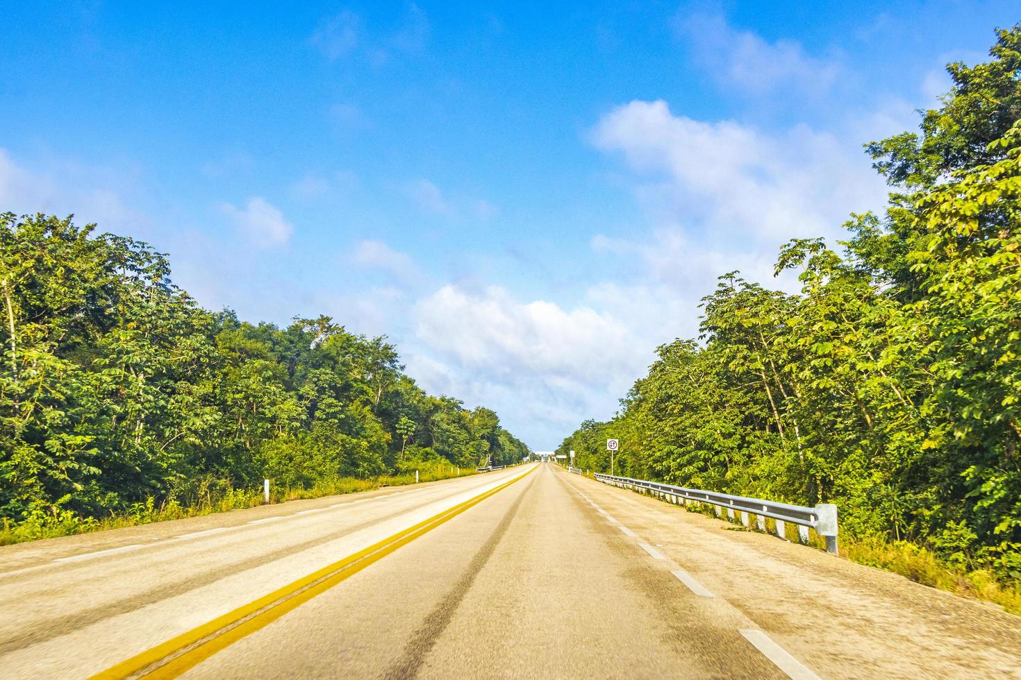 Driving on highway freeway motorway in jungle tropical nature Mexico. photo