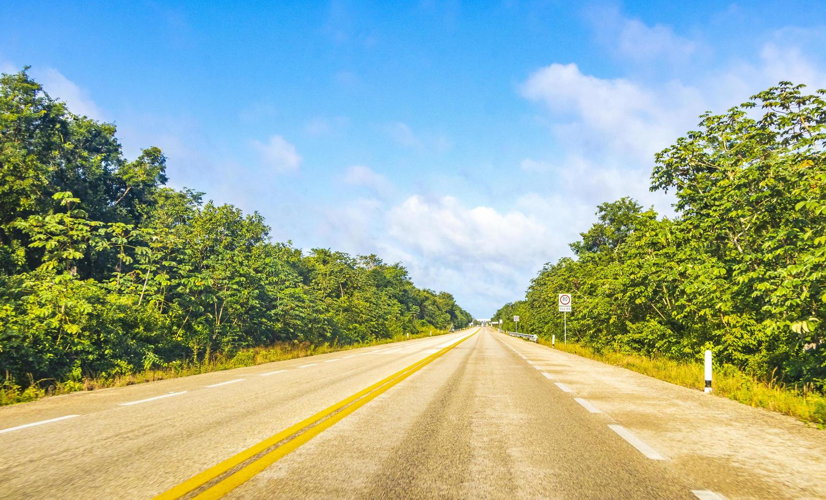 Driving on highway freeway motorway in jungle tropical nature Mexico. photo