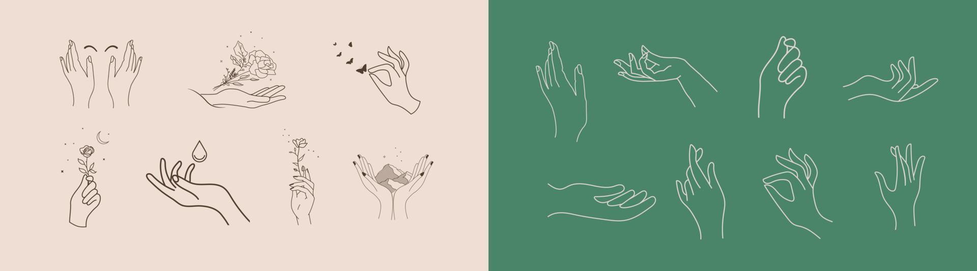 un conjunto de colecciones de iconos de mano de mujer en un estilo lineal mínimo. plantillas de diseño de logotipos vectoriales con diferentes gestos manuales, cristal. para cosmética, belleza, tatuaje, spa, femenino, joyería. vector