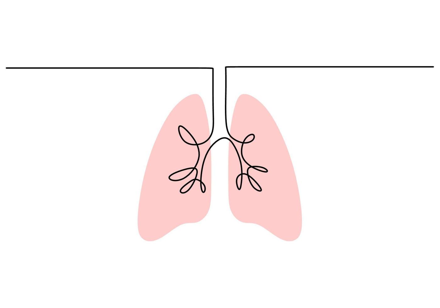 Continuous one single line of lungs anatomy on white background. vector