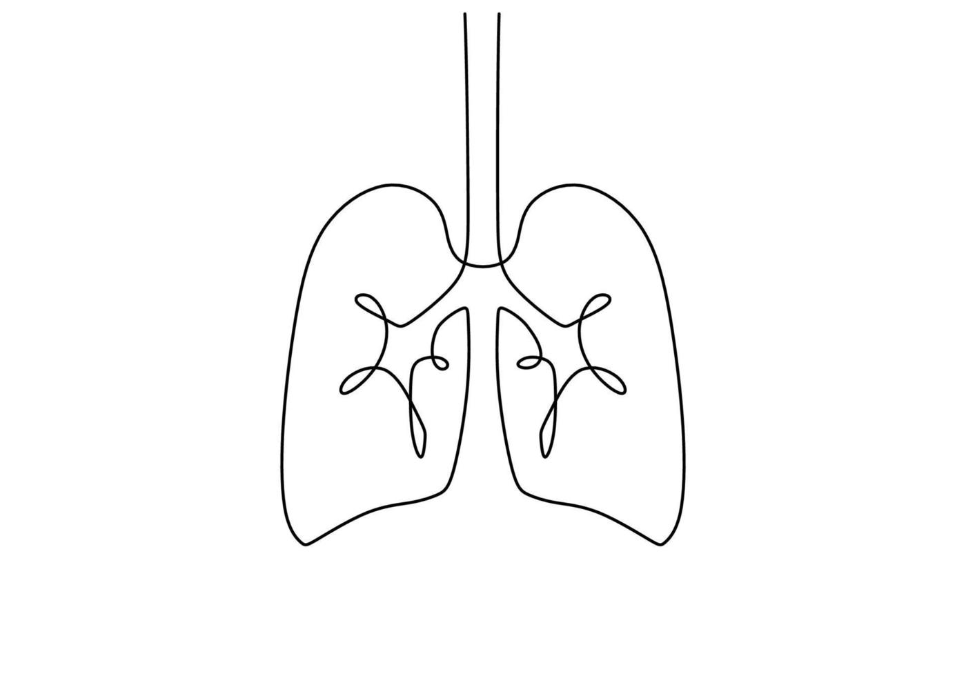 Continuous one single line of lungs anatomy vector