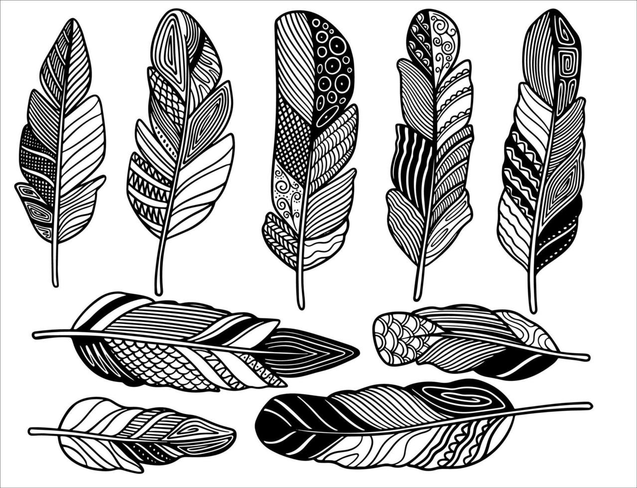 Hand drawn bohemian, tribal, ethnic set of feathers. vector