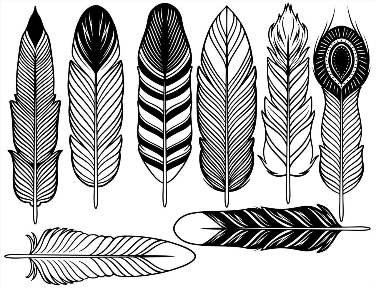 Hand drawn bohemian, tribal, ethnic set of feathers. vector