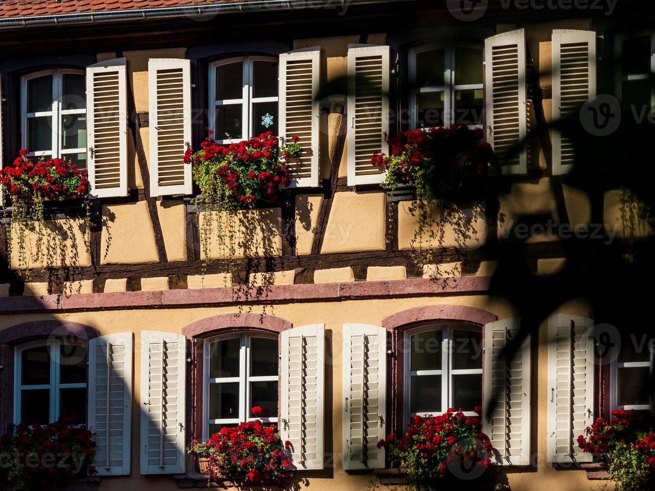 Classic Alsatian windows in a half-timbered house, decorated with wooden carvings and flowers photo