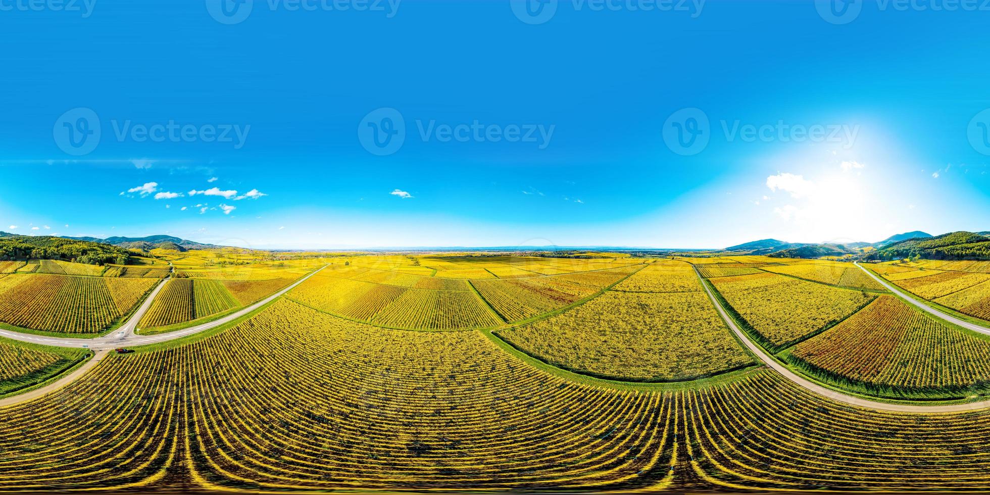 un panorama esférico circular de viñedos de otoño en alsacia. cielo azul y amarillo brillante. foto