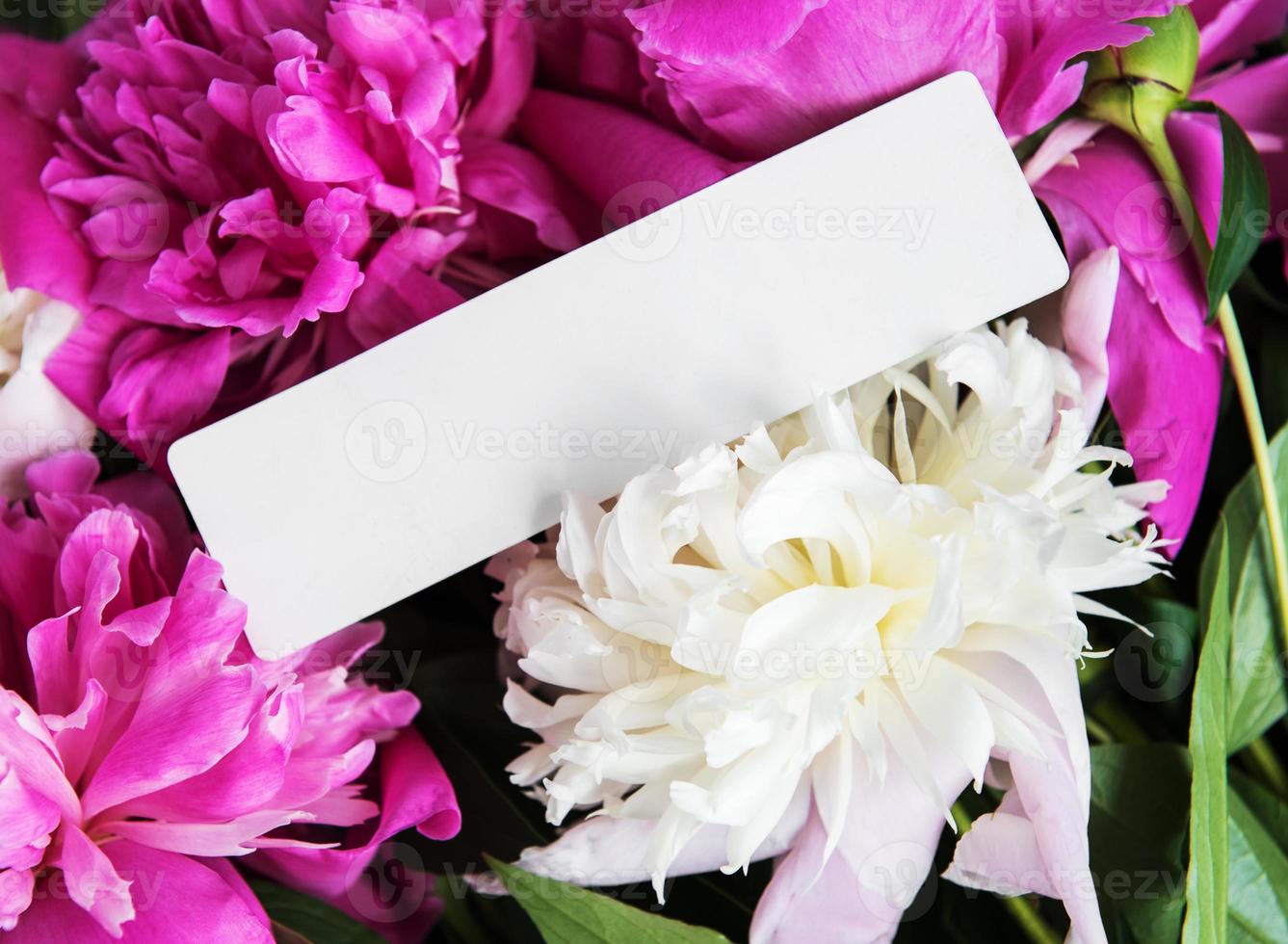 invitation card and pink peony flowers photo