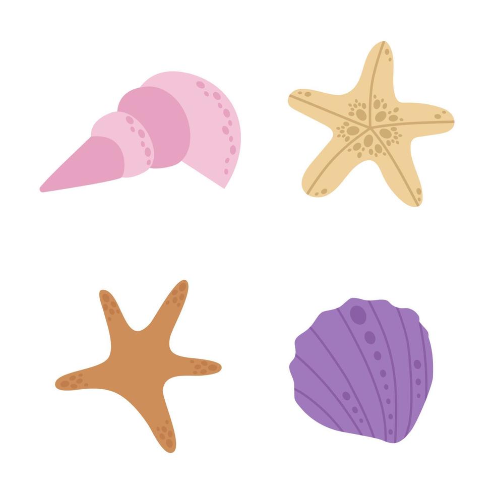 Sea shells and stars, a set of cute clams living in the ocean. Vector illustration isolated on a white background.