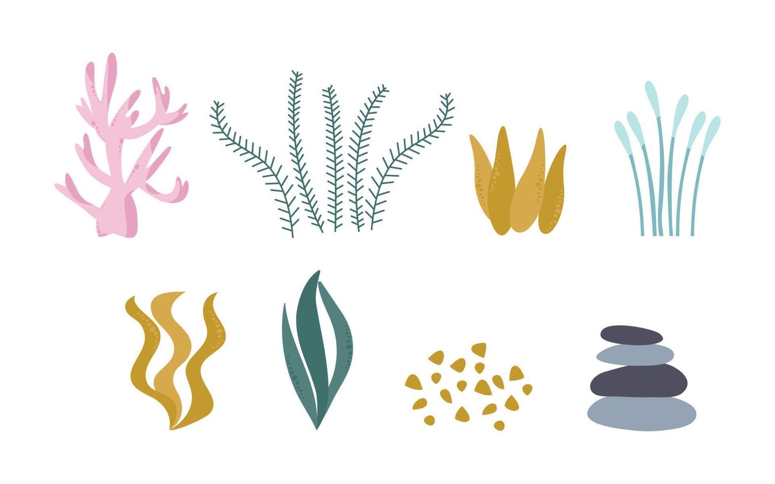 Seaweed and coral, a set of cute plants from the ocean. Vector illustration isolated on a white background.