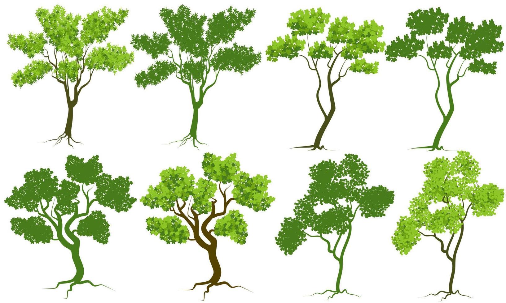 vector trees set isolated on white background