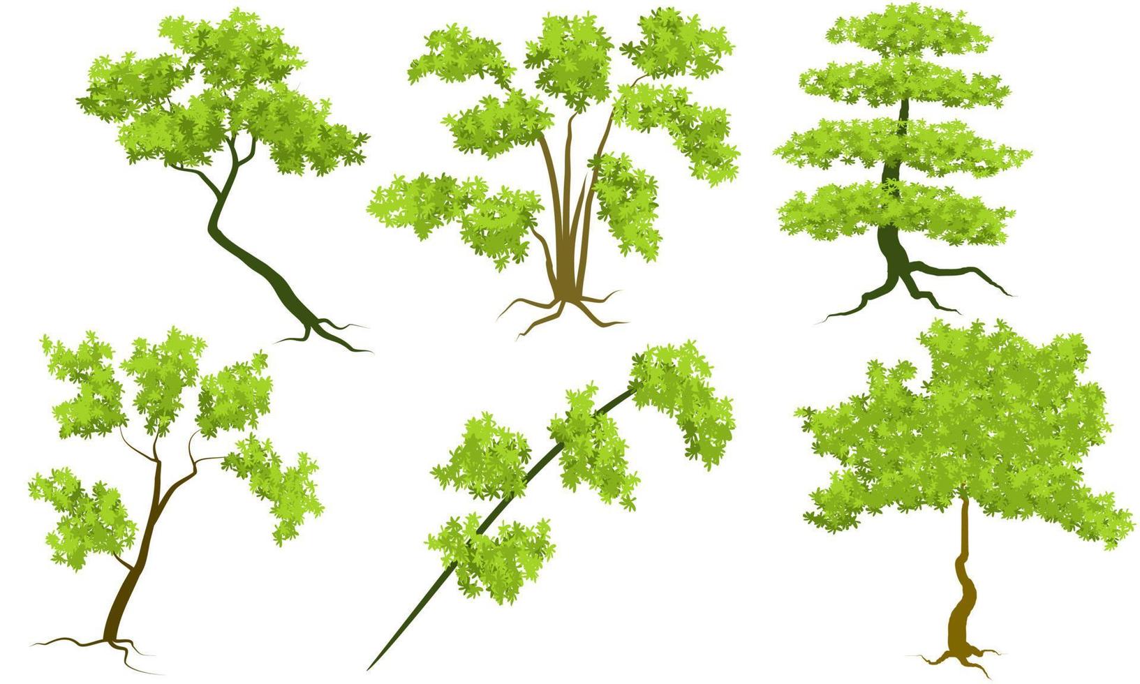 vector trees set isolated on white background