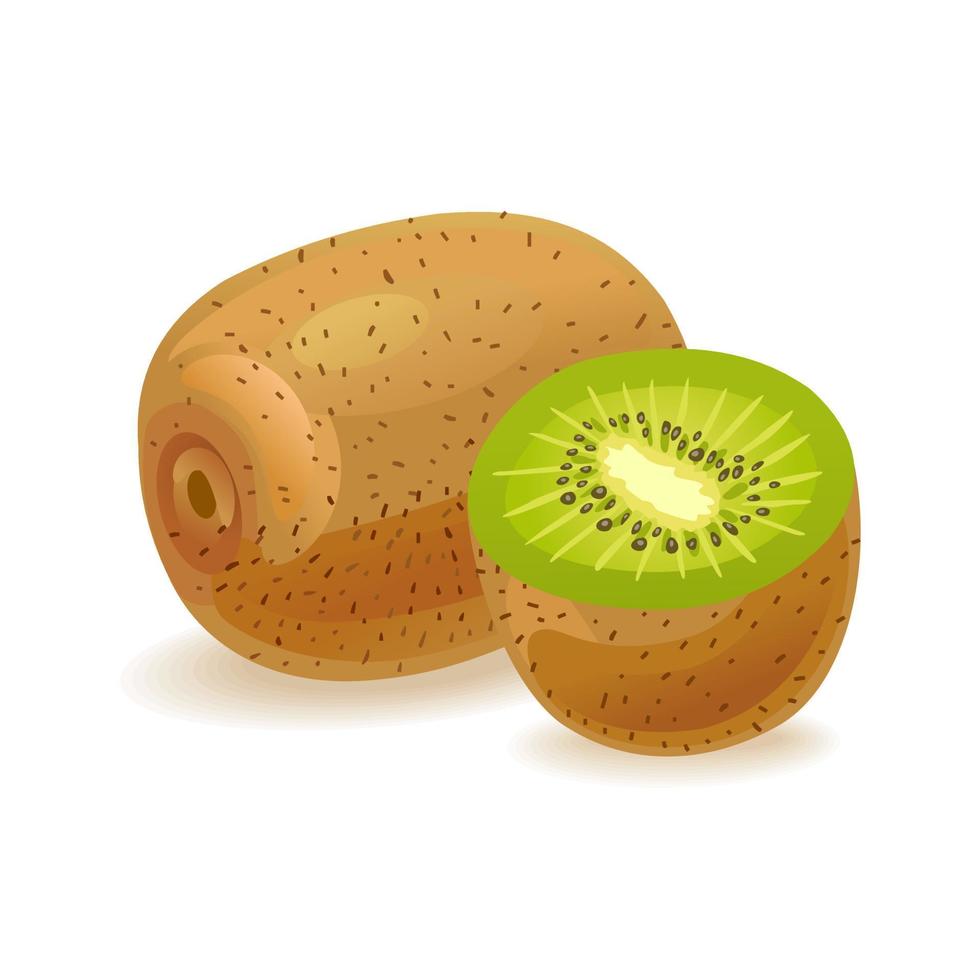 Realistic kiwi fruit. Half and slice. Fresh organic food for a healthy diet. Tropical berry for dessert. Vector illustration