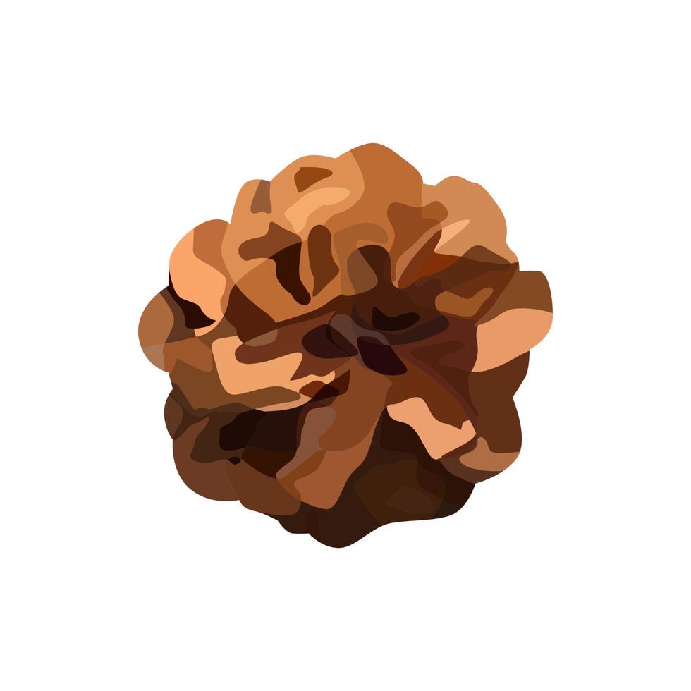 Vector pine cone