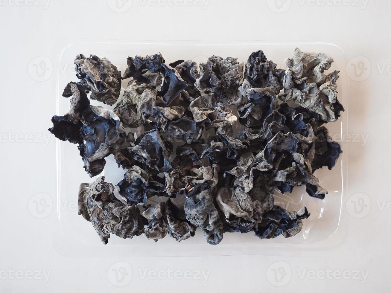 Chinese black fungus mushroom photo
