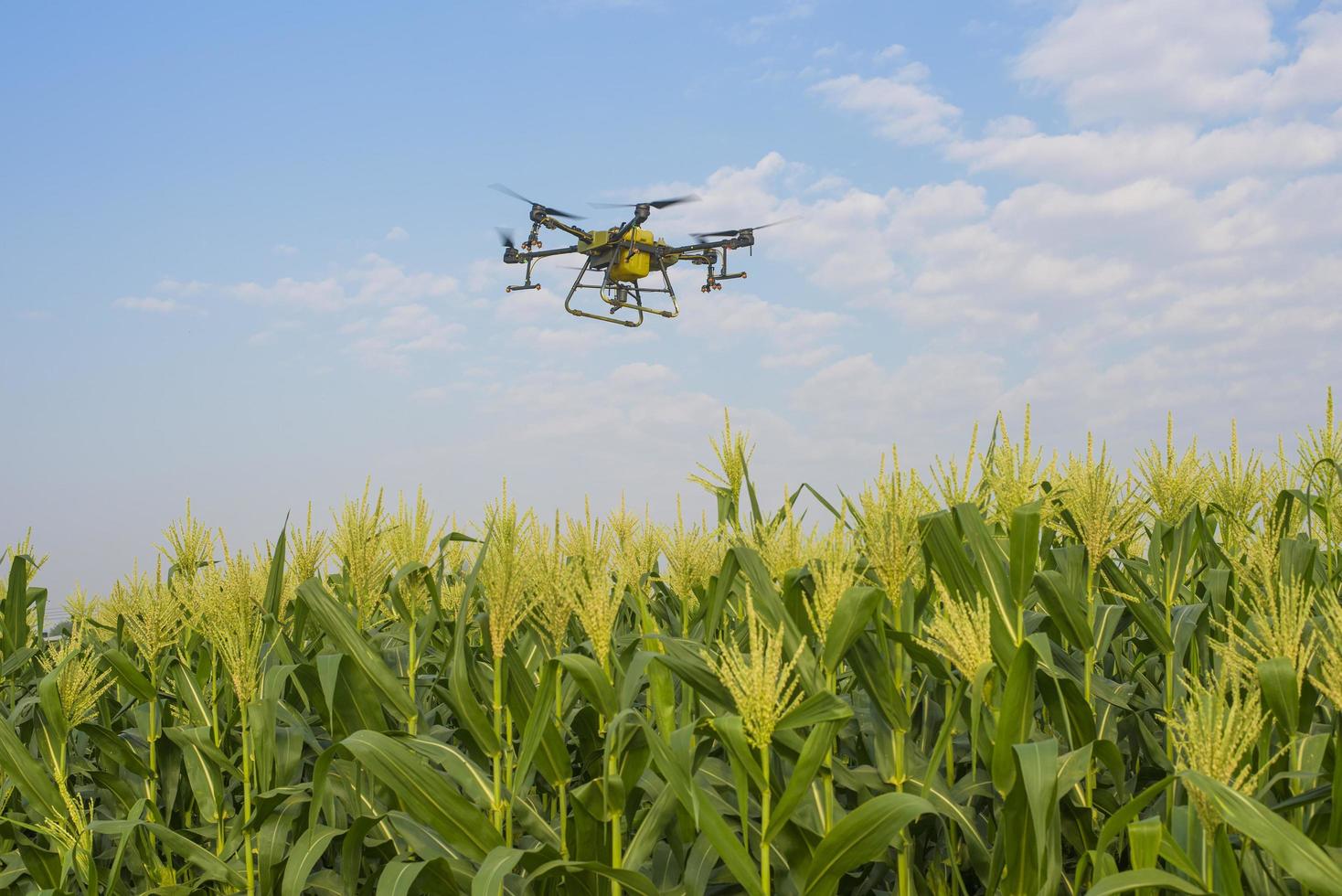 drones agrícolas volando y rociando fertilizantes y pesticidas sobre tierras de cultivo, innovaciones de alta tecnología y agricultura inteligente foto