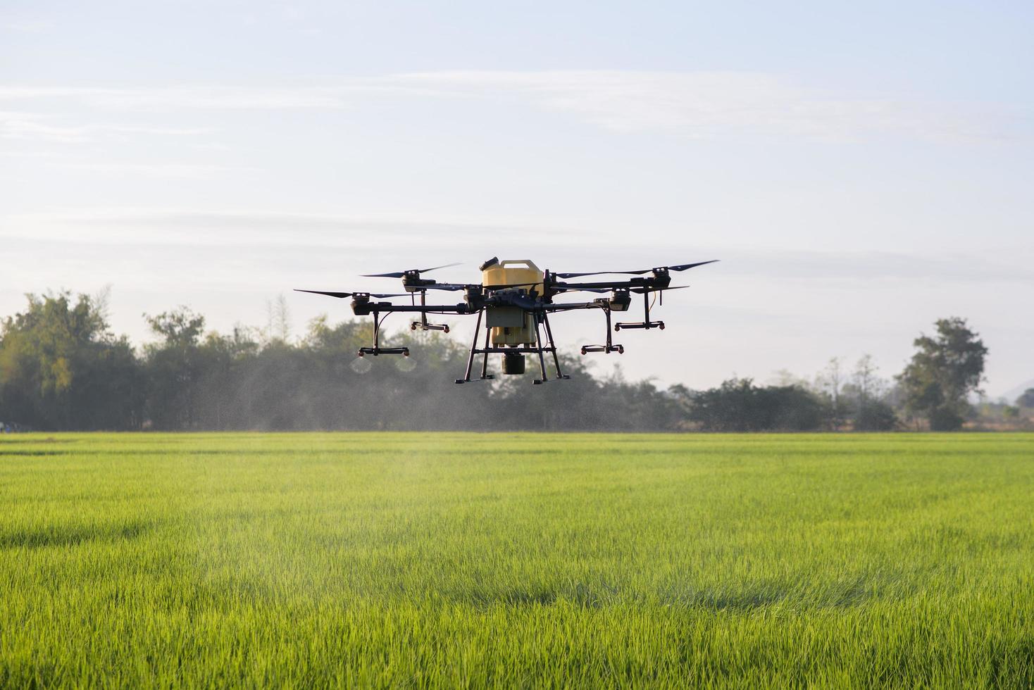 drones agrícolas volando y rociando fertilizantes y pesticidas sobre tierras de cultivo, innovaciones de alta tecnología y agricultura inteligente foto