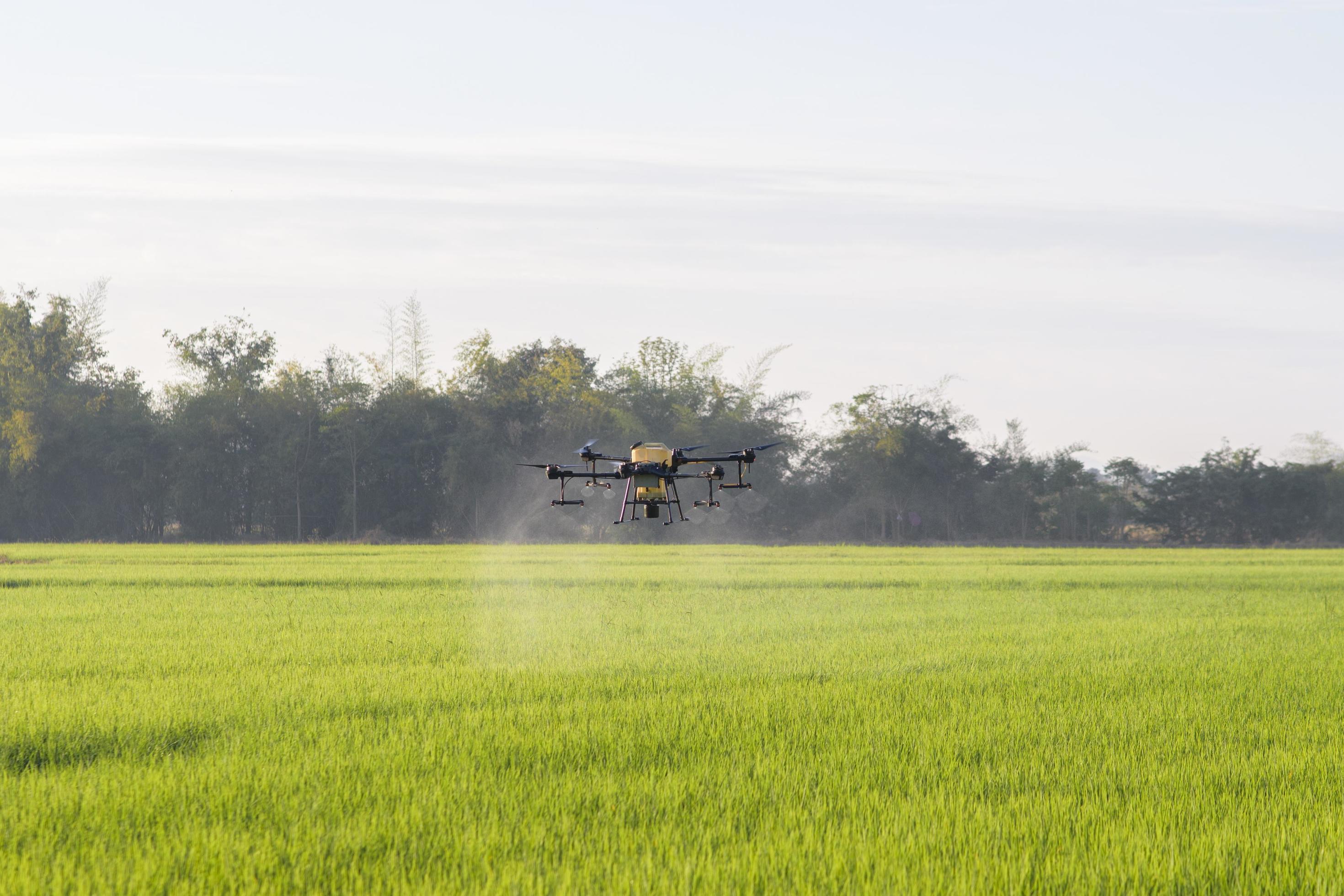 Drone technology impact on fertilizer application in farming