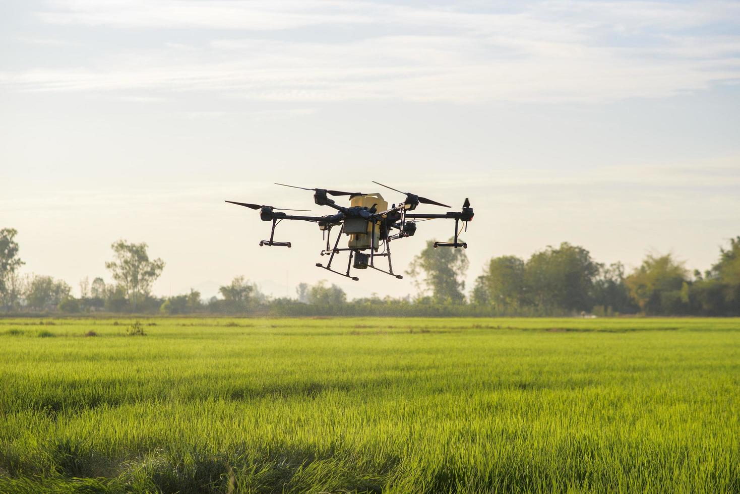 Agriculture drone flying and spraying fertilizer and pesticide over farmland,High technology innovations and smart farming photo