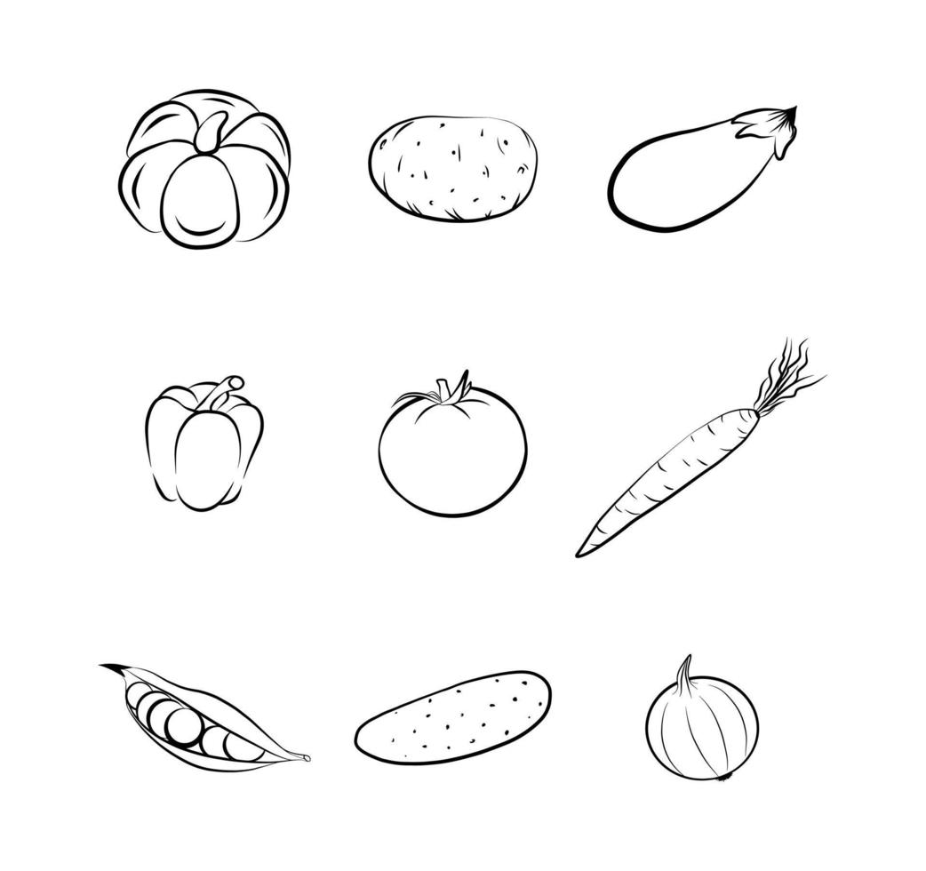 Conjunto de iconos de verduras aislado en blanco pegatinas de dibujos animados con dibujo gráfico de contorno comida ecológica fresca vector