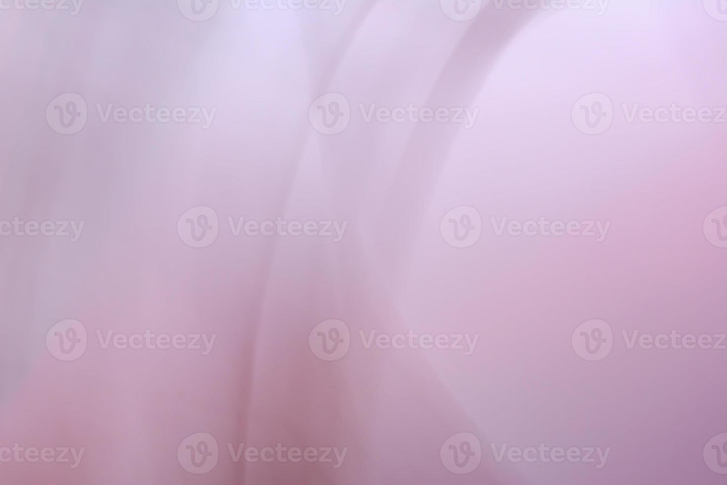 Horizontal pink gray abstract background banner with soft blur wave lines and highlights. photo