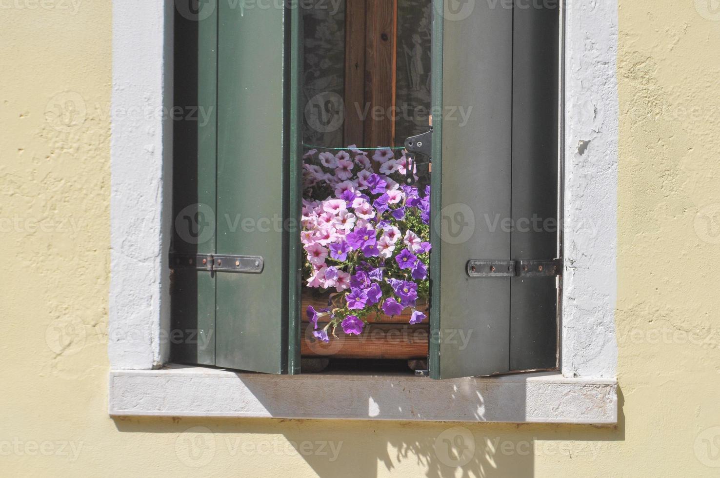 old window with flowers photo