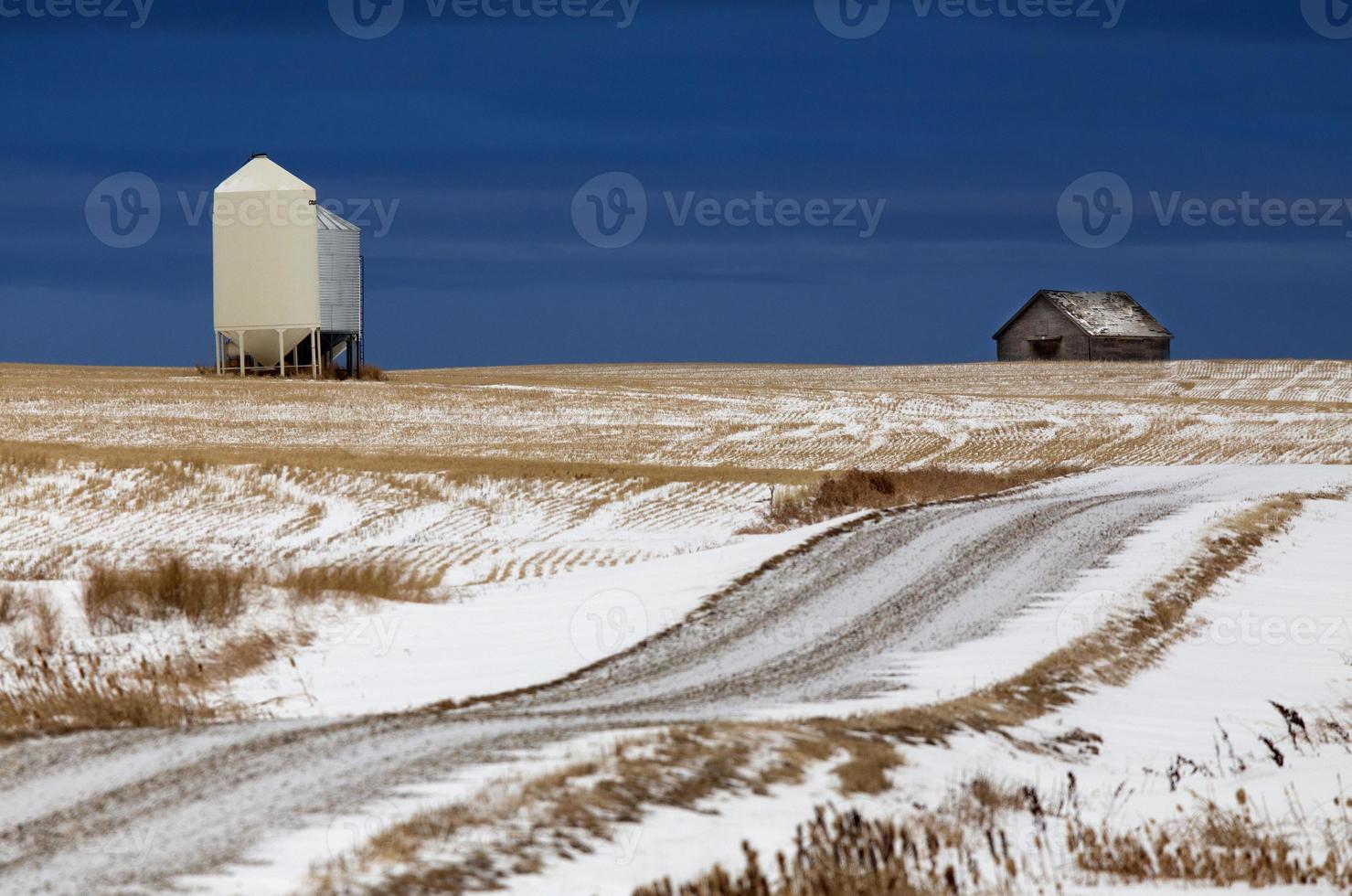 paisaje de pradera en invierno foto
